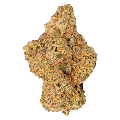 Georgia Cream