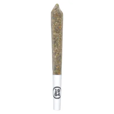 Gasolina Pre-Roll
