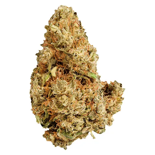 Versus - Purple Afghani - Indica Versus - Purple Afghani - Indica