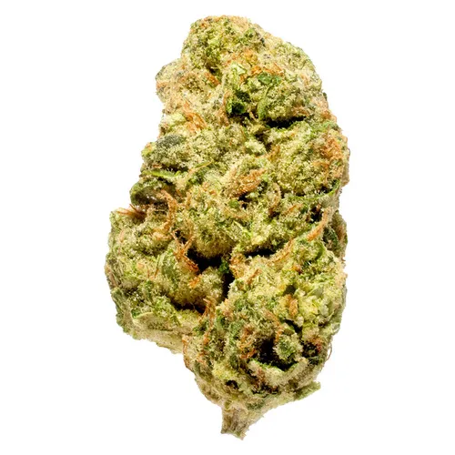 Blanh Indica (Blueberry Pancakes) Blanh Indica (Blueberry Pancakes)