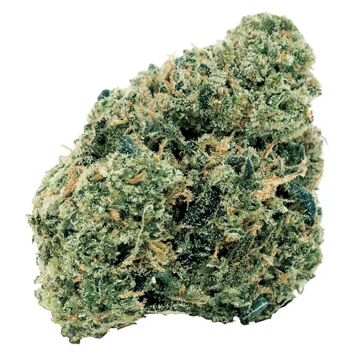 7ACRES - Northern OG Kush Hybrid -7g 7ACRES - Northern OG Kush Hybrid -7g