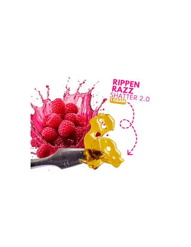 Rippin Razz Shatter 2.0 - 1g