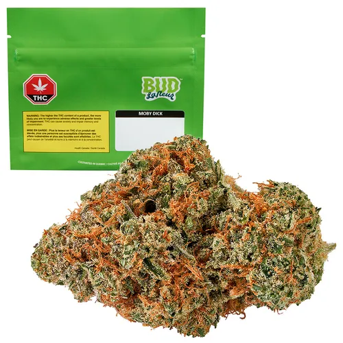 Moby Dick