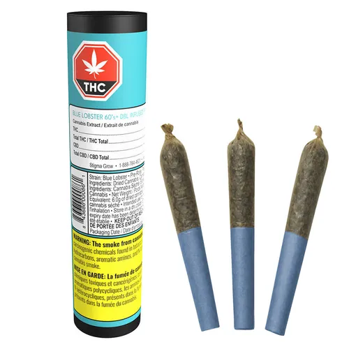 Blue Lobster 60's+ Dbl Infused Pre-roll
