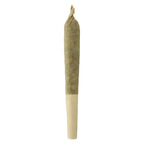 Sheeesh! - Bluefin Tuna Pre-Roll - 1x0.5g Sheeesh! - Bluefin Tuna Pre-Roll - 1x0.5g