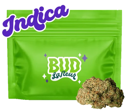 Street Tarts - 7g Street Tarts - 7g