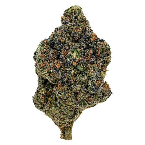 1964 - Gasolina - Gasolina 7g Dried Flower 1964 - Gasolina - Gasolina 7g Dried Flower