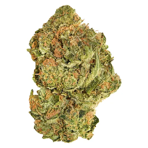 Brand New Buds Flower