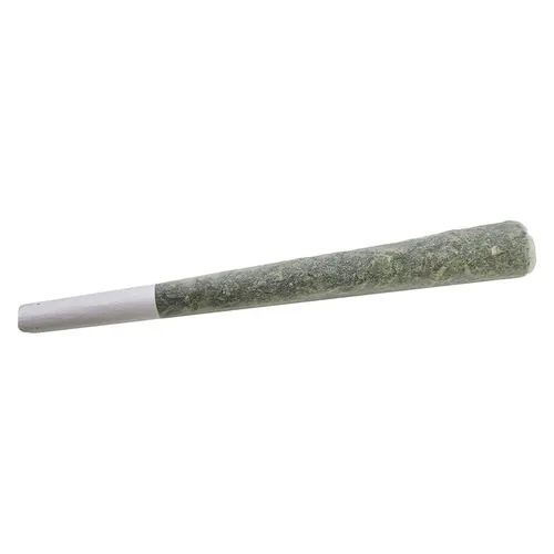 Purple Octane Pre-Roll (Biscotti x Sherb BX 1 x Jealousy F2) Purple Octane Pre-Roll (Biscotti x Sherb BX 1 x Jealousy F2)