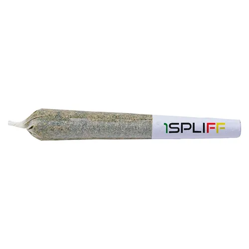 Purple Aya Pre-roll