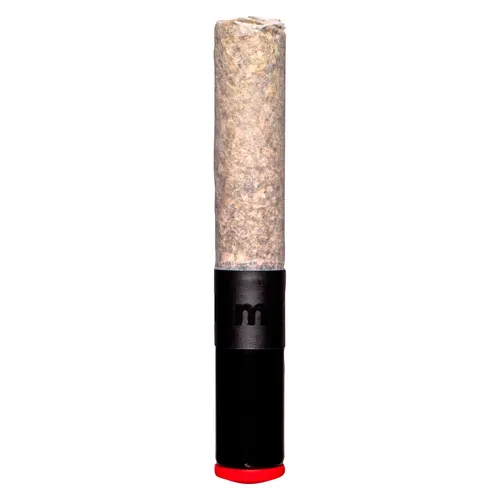 Noir x Jealousy Cannon Pre-Roll