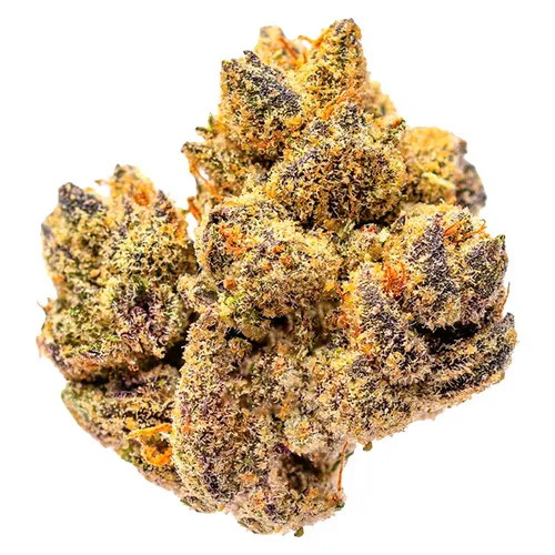 Potluck - Rocky Mountain High - Rocky Mountain High 14g Dried Flower Potluck - Rocky Mountain High - Rocky Mountain High 14g Dried Flower