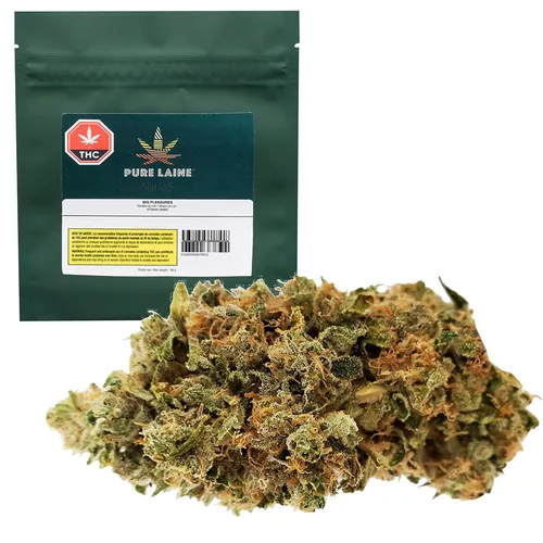 Big Pleasures (Indica)