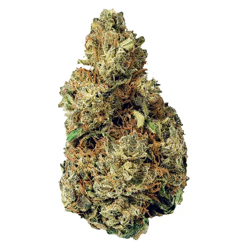 Terp Town Collective - Resting Gas Face - 3.5g