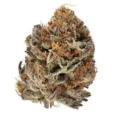 Rotating Indica Strain