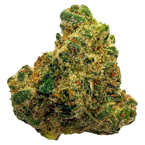 Northern Lights
