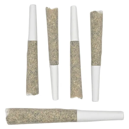Pandora's Odyssey Blended Pre-Roll