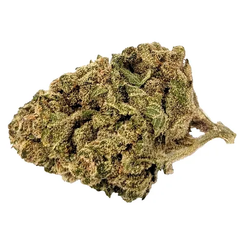 Pink Kush