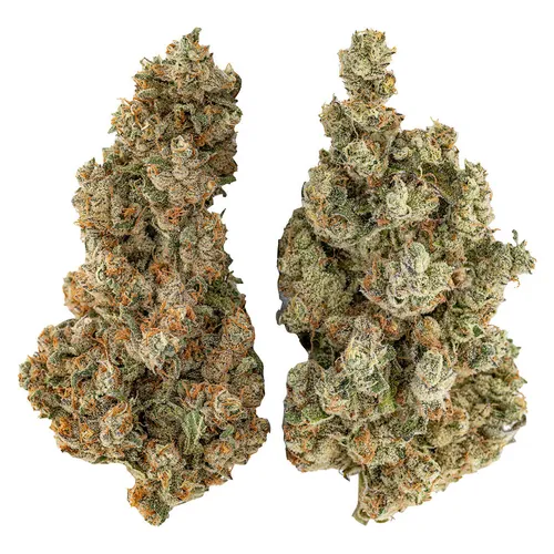 Organic Butter Cookies x Organic NYC Juggernaut