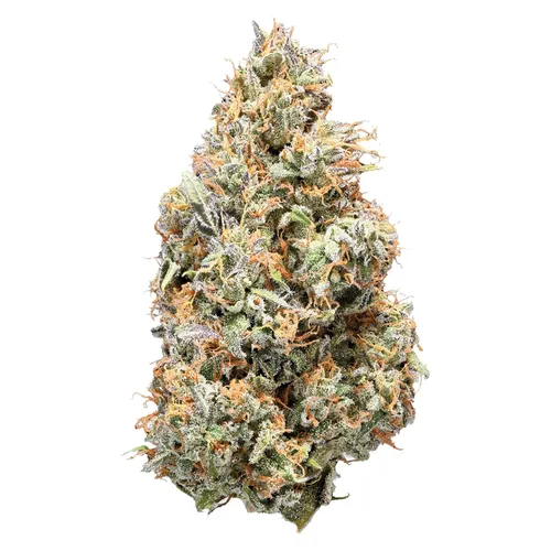 Sativa (Cuban Linkx)