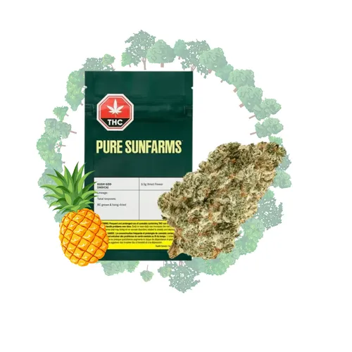 PURE SUN FARMS Kush God (Pineapple God X Pink Kush) 7g PURE SUN FARMS Kush God (Pineapple God X Pink Kush) 7g