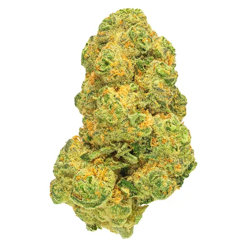 San Rafael '71 - Cosmic Cream - Cosmic Cream 3.5g Dried Flower San Rafael '71 - Cosmic Cream - Cosmic Cream 3.5g Dried Flower
