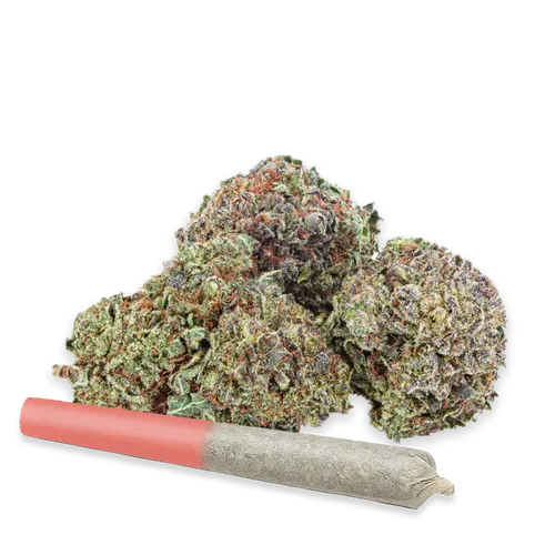 HIGHLY DUTCH - Rotterdam INDICA (ORGANIC Durban Gorilla) Rotating 28G HIGHLY DUTCH - Rotterdam INDICA (ORGANIC Durban Gorilla) Rotating 28G