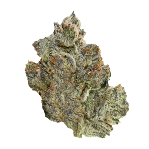 Pink Death Flower
