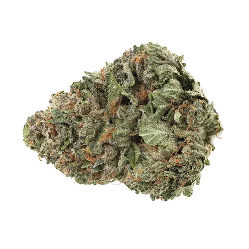 (Lemon Diesel) Bandwagon Hybrid