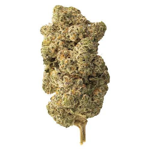 The Loud Plug - Lemon Gelato - Hybrid - 28g