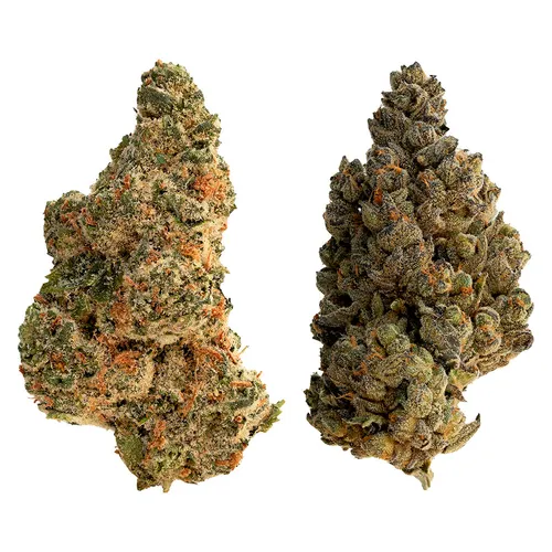 THE LOUD PLUG - SPLITTER(Waffle Cone X LA Pop Star) 2x14g- 28G