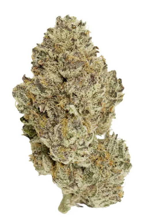 Golden Pineapple - 7g