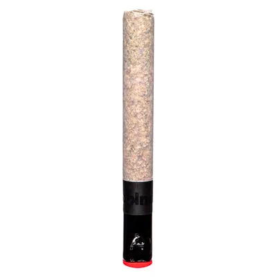 The Magnum Pre-Roll