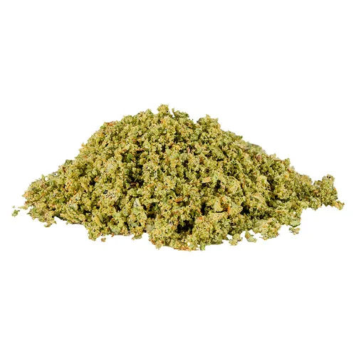 Reefer-Ready Northern Lights