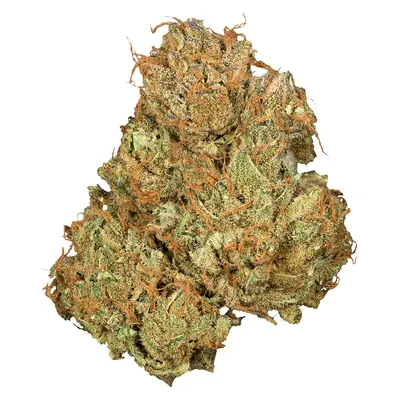 Jean Guy CBD