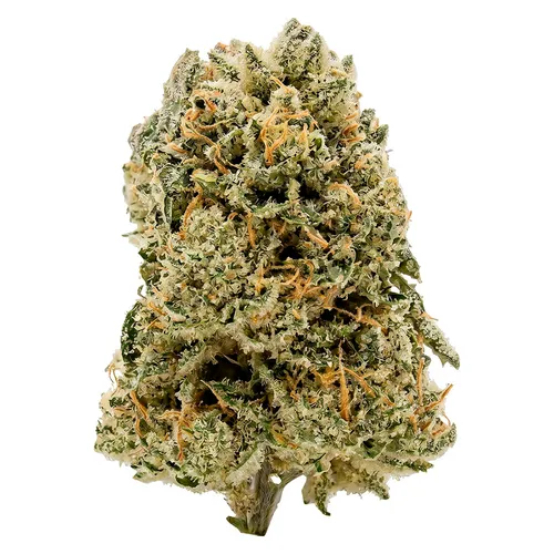 (Black Sunset) Payday Pack