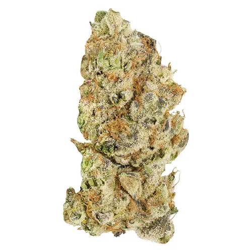 Broken Coast - Platinum Pave - Platinum Pave 3.5g Dried Flower Broken Coast - Platinum Pave - Platinum Pave 3.5g Dried Flower
