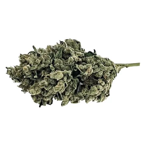 BC Green - Stankasaurus Hybrid -3.5g BC Green - Stankasaurus Hybrid -3.5g